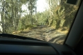 madeira off road trip